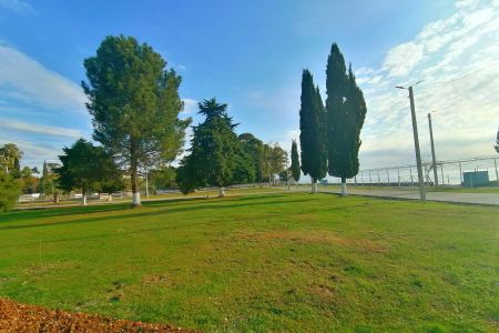 Территория