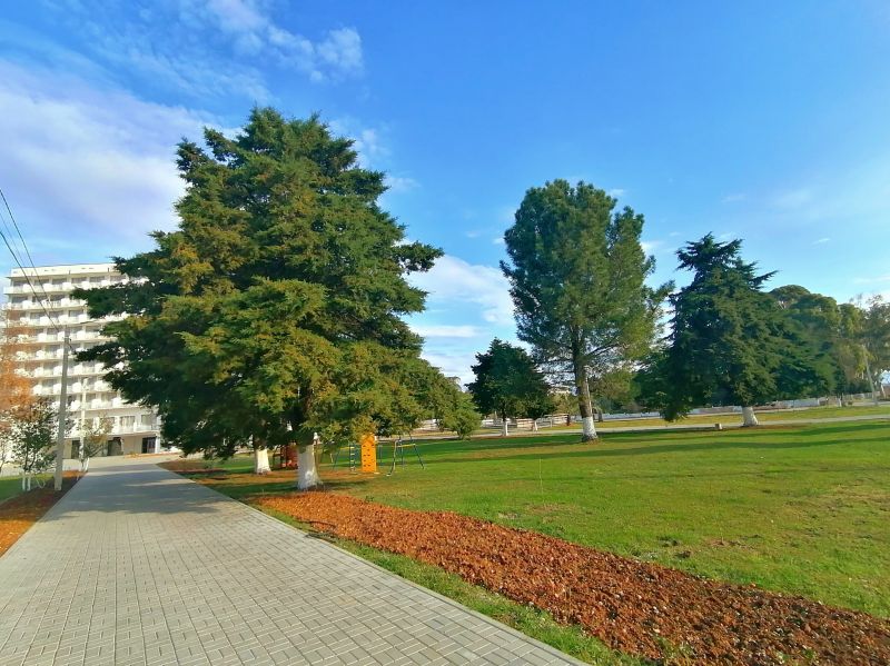 Территория