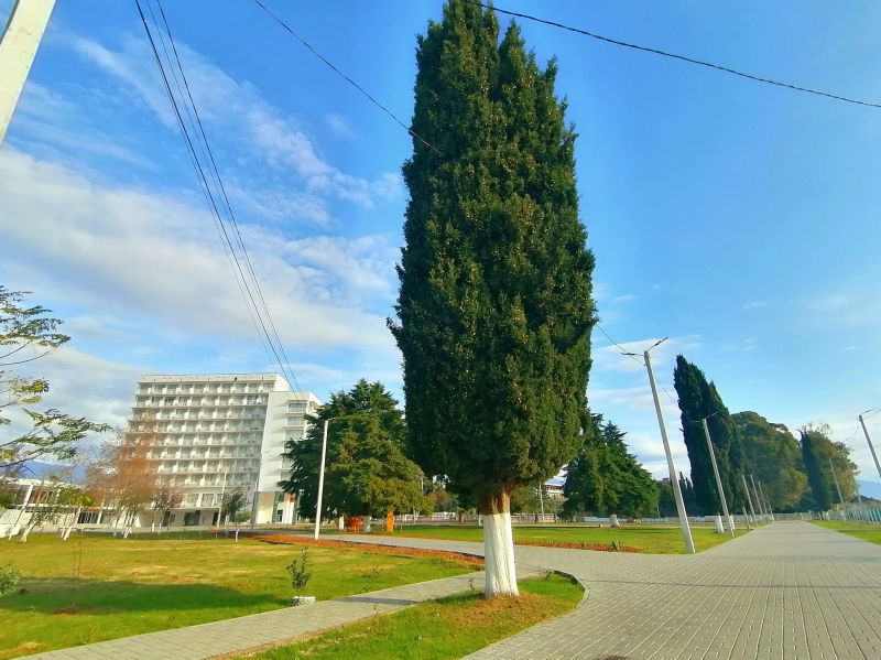 Территория