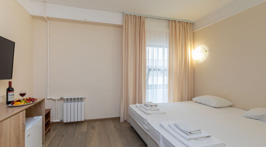 Эконом 2-местный 1-комнатный